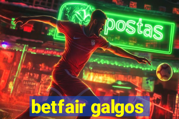 betfair galgos